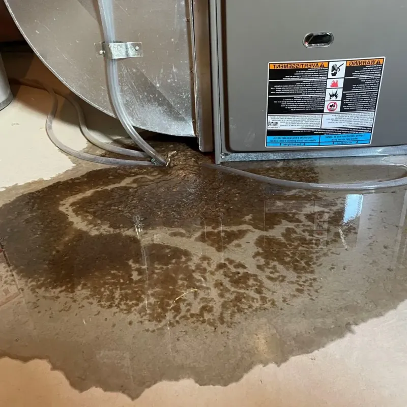Pipe Burst and Leak Restoration in Monson Center, MA