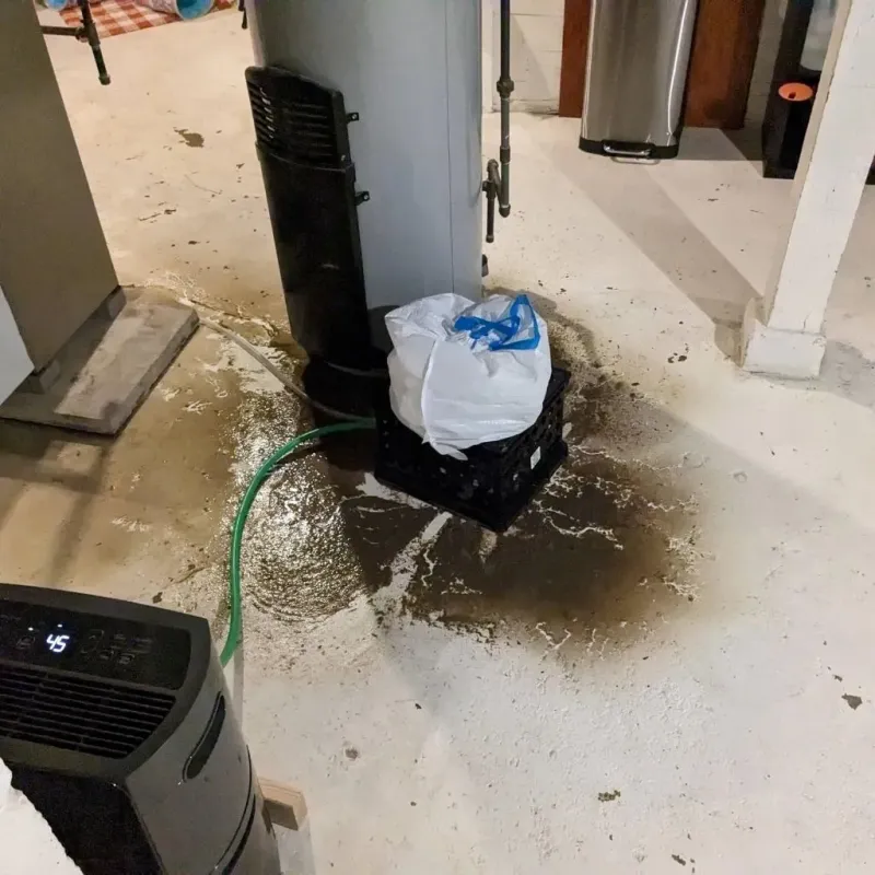 Sewage Backup Cleanup Service in Monson Center, MA